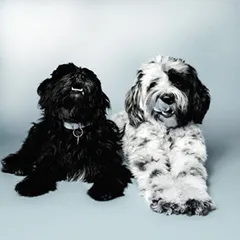 Lou und Charly